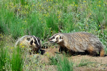 9474045991_236d477873_k