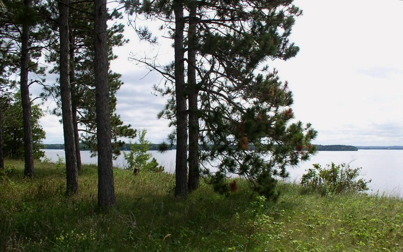 Wikipedia Commons/McGhiever